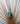 Rising Phoenix Turquoise | Paperclip Chain Necklace | Chain Length 18 inches