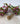 Cherry Creek Jasper | Size 8.5