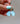 ED #10 | Golden Hill Turquoise