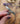 Shark Tooth Ring | Size 8.75