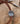 Wildflower Bolo | 19 inches