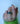 Jade Oval | Size 7.25