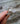 Sand dollar Ring | Size 6.5