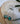 Royston Canyon  |  Earrings