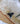 Olympic Mist | Shark Tooth | 16 Inches