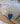 Sea Glass | Lake Erie | 20 Inches