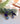 Wildwater Bloom | 2| Earrings