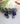 Wildwater Bloom | 1 | Earrings