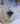 Shark Tooth & Opal | 18 inches