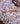Orange Spiny Oyster | Stacker Cuff | 5.5"