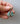 ED # 1 | Blue Mountain Jasper