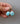 ED # 2 | Golden Hill Turquoise