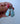 ED #1 | Opalized Wood