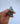 Shark Tooth Ring 2 | 7.5