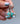 Everyday Earrings | Spiny Oyster