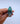 Shark Tooth Ring 6 | 9
