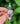 Moon phase | Ring | Size 8