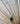 Shark Tooth Necklace | #1|  Chain Length 16 inches