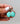 ED #4| Campitos Turquoise