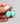 ED #4| Campitos Turquoise
