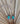Everyday Bolo |1| 24-26" Inches (adjustable bolo slide)